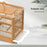 Portable Bird Container Bird Travel Carrier Bird Cage with Handle Large Space Breathable Foldable Bird Cage Set Bird Accessories