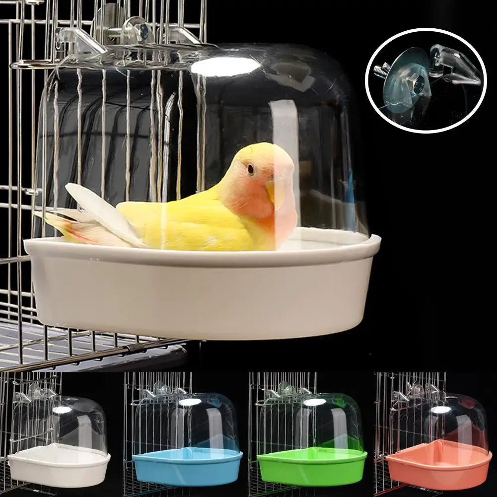 Bird Grooming