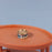 1Pc 1/12 Dollhouse Simulation Cat Can Mininature Cat Food Toy DIY Dolls House Home Decorations Kids Pretend Play Toys