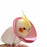 Anti-peckin Bird Accessories Anti-bite Adjustable Bird Recovery Collar Parrot Elizabethan Circle Bird Neck Sleeve Bird Cloak