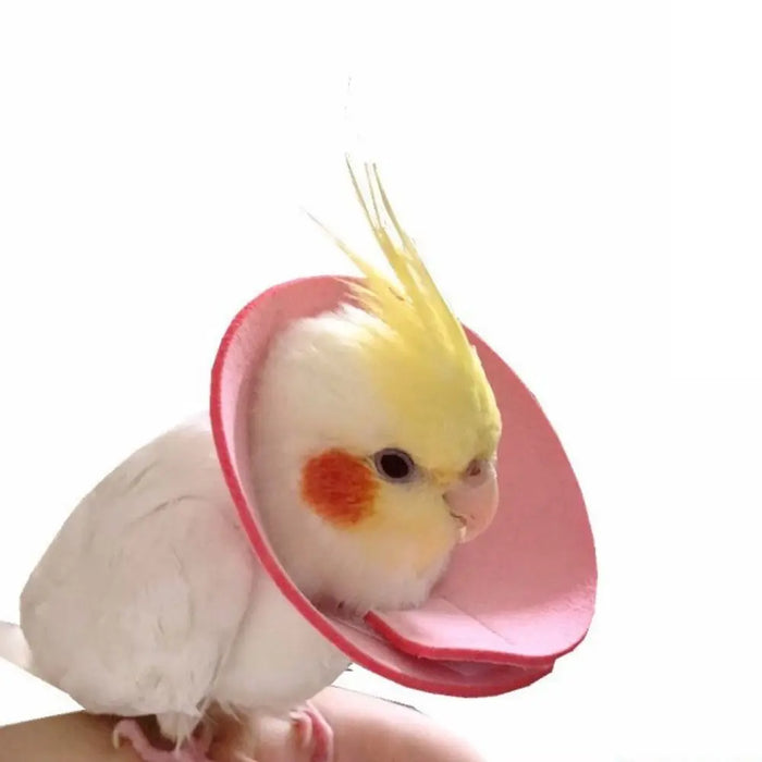 Anti-peckin Bird Accessories Anti-bite Adjustable Bird Recovery Collar Parrot Elizabethan Circle Bird Neck Sleeve Bird Cloak