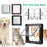 Dog Cat Flap Door with 4 Way Security Lock Transparent ABS Plastic Gate Four sizes（S/M/L/XL） Flap Doors Cat & Puppy Safety Gate