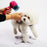 dog grooming stand Shower and care table dog Assisted Standing Small dog for Grooming pet bathing hair dryer fixed bracket