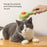 Cat Brush Pet Comb Grooming Pets Hair Remover Cat Dogs Removal Hair Brush Cleansing Self Fall Off Hair Pet Tools Accessories