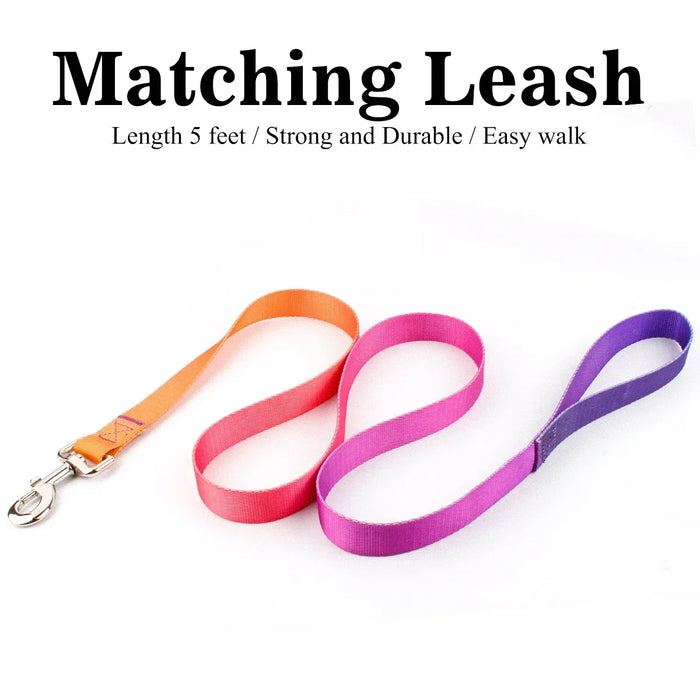 Pet Cat Dog Collar Traction Leash Suitable for Small Large Dogs Bulldog Pugs Beagle Nylon Adjustable Dog Collar Leash Lead