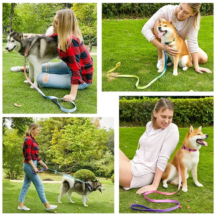 Pet Cat Dog Collar Traction Leash Suitable for Small Large Dogs Bulldog Pugs Beagle Nylon Adjustable Dog Collar Leash Lead