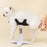 dog grooming stand Shower and care table dog Assisted Standing Small dog for Grooming pet bathing hair dryer fixed bracket
